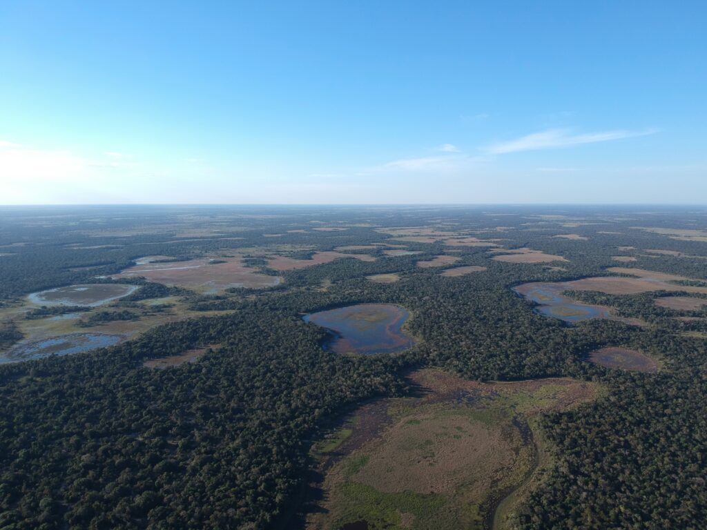 Vista aérea do Pantanal da Nhecolândia
