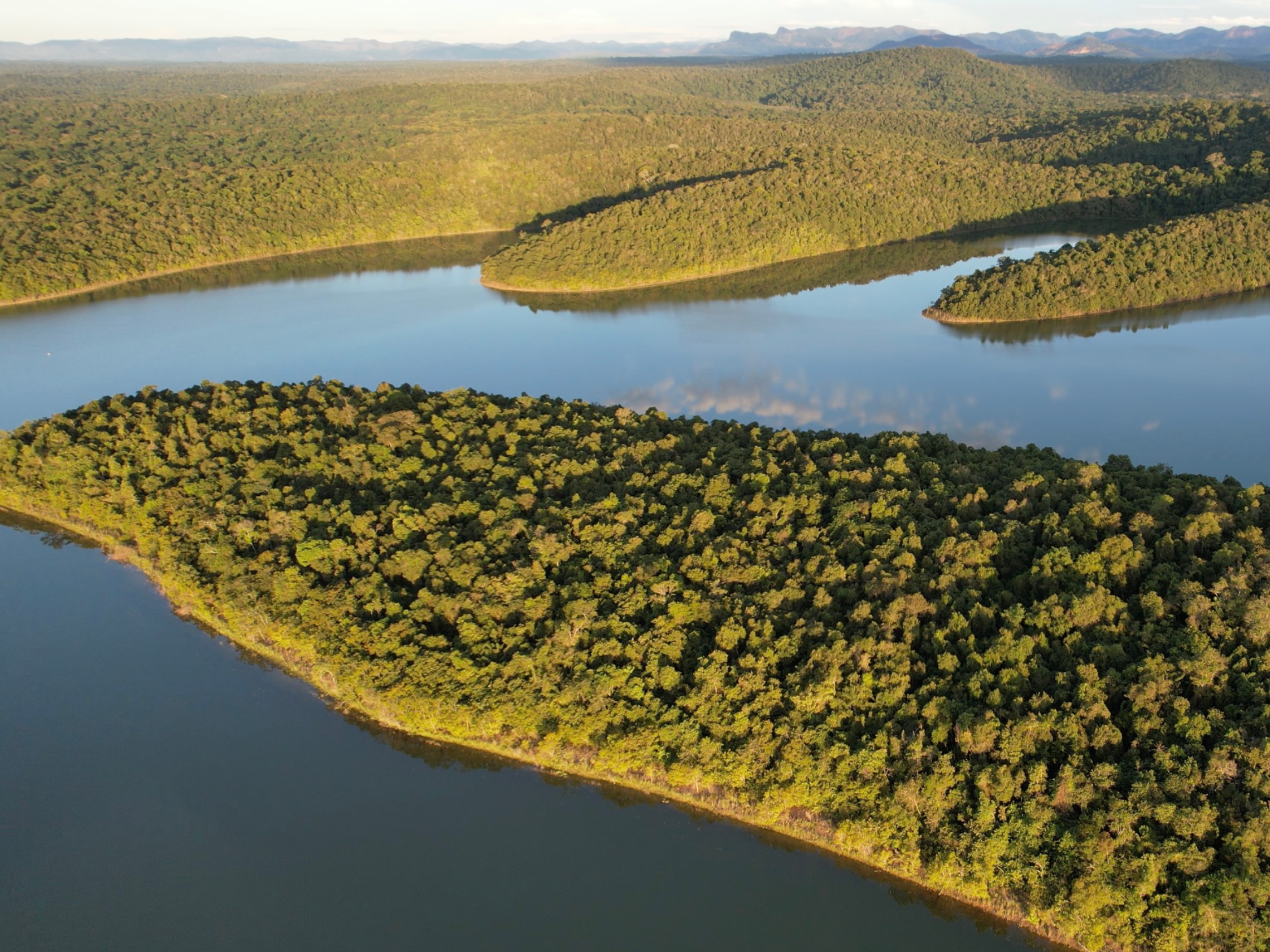 Parque Estadual do Rio Doce